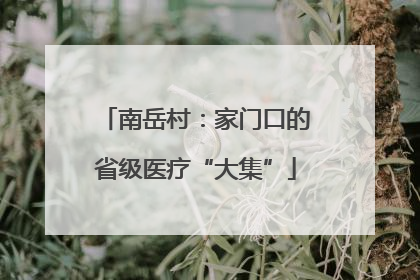 南岳村：家门口的省级医疗“大集”