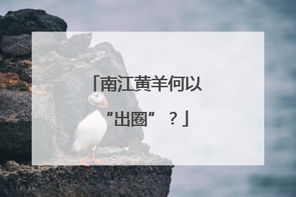 南江黄羊何以“出圈”？