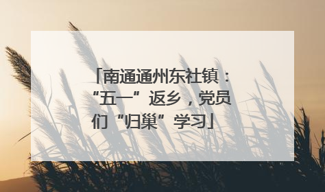 南通通州东社镇：“五一”返乡，党员们“归巢”学习