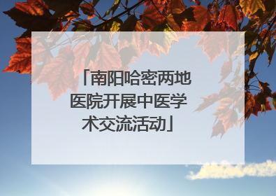 南阳哈密两地医院开展中医学术交流活动