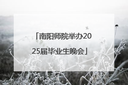 南阳师院举办2025届毕业生晚会