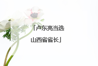 卢东亮当选山西省省长