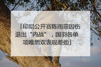 印尼公开赛陈雨菲因伤退出“内战”，国羽各单项唯男双表现差劲