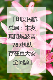 印度民航总局：未发现印航波音787机队存在重大安全问题