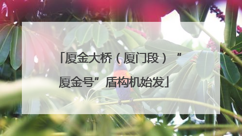 厦金大桥（厦门段）“厦金号”盾构机始发