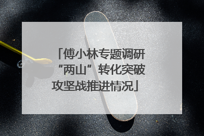 傅小林专题调研“两山”转化突破攻坚战推进情况