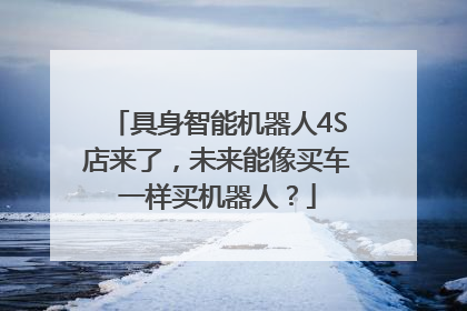 具身智能机器人4S店来了，未来能像买车一样买机器人？