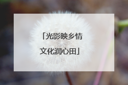 光影映乡情 文化润心田
