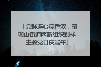 党群连心粽香浓，珞珈山街道两新组织别样主题党日庆端午