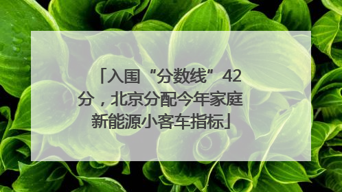入围“分数线”42分，北京分配今年家庭新能源小客车指标