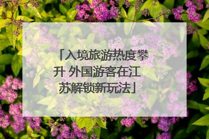 入境旅游热度攀升 外国游客在江苏解锁新玩法