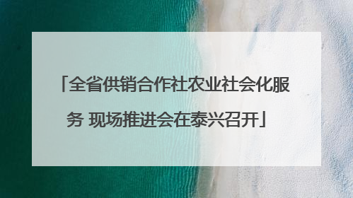 全省供销合作社农业社会化服务 现场推进会在泰兴召开