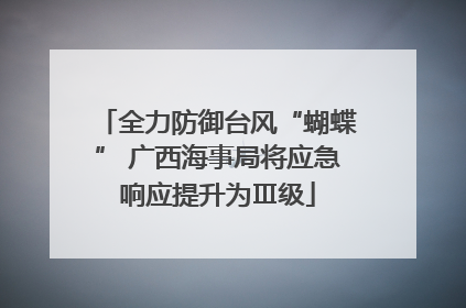 全力防御台风“蝴蝶” 广西海事局将应急响应提升为Ⅲ级