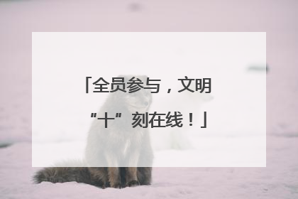 全员参与，文明“十”刻在线！