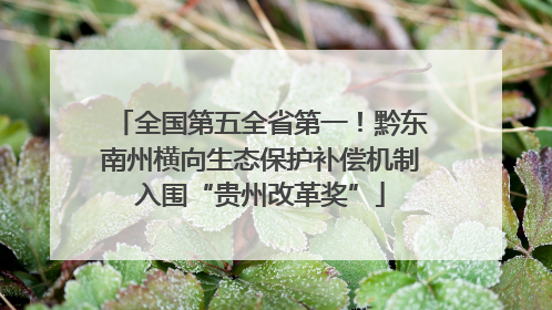 全国第五全省第一！黔东南州横向生态保护补偿机制入围“贵州改革奖”