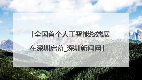 全国首个人工智能终端展在深圳启幕_深圳新闻网