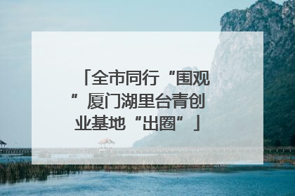全市同行“围观”厦门湖里台青创业基地“出圈”