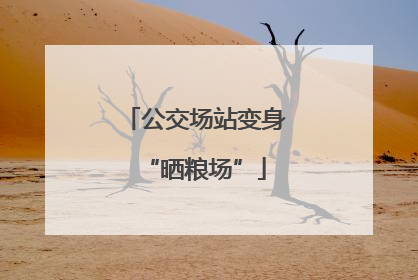 公交场站变身“晒粮场”