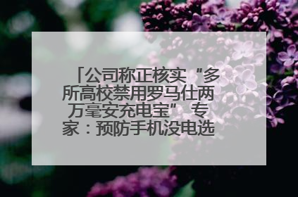 公司称正核实“多所高校禁用罗马仕两万毫安充电宝” 专家：预防手机没电选中等体积产品即可