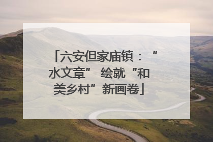 六安但家庙镇：“水文章” 绘就“和美乡村”新画卷