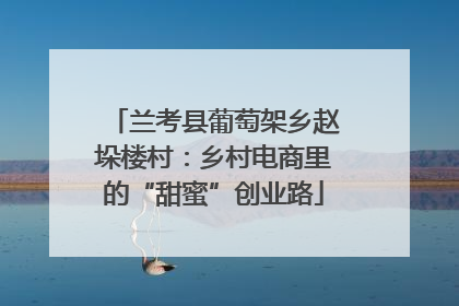 兰考县葡萄架乡赵垛楼村：乡村电商里的“甜蜜”创业路