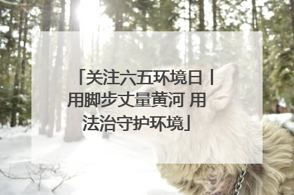 关注六五环境日丨用脚步丈量黄河 用法治守护环境