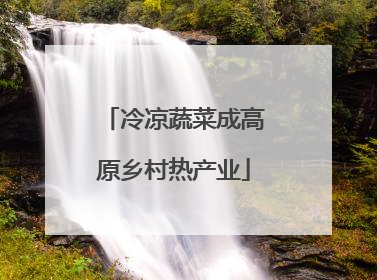 冷凉蔬菜成高原乡村热产业