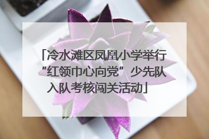 冷水滩区凤凰小学举行“红领巾心向党”少先队入队考核闯关活动
