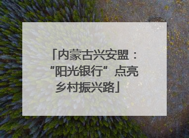 内蒙古兴安盟：“阳光银行”点亮乡村振兴路