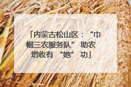 内蒙古松山区：“巾帼三农服务队” 助农增收有 “她” 功