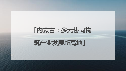 内蒙古：多元协同构筑产业发展新高地