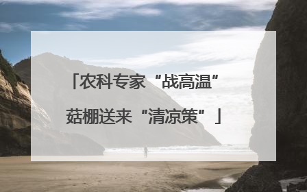 农科专家“战高温” 菇棚送来“清凉策”