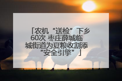 农机“送检”下乡60次 枣庄薛城临城街道为夏粮收割添“安全引擎”