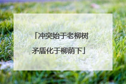 冲突始于老柳树 矛盾化于柳荫下