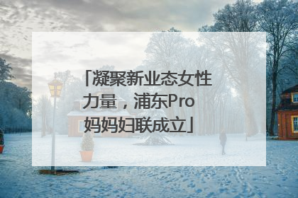 凝聚新业态女性力量，浦东Pro妈妈妇联成立