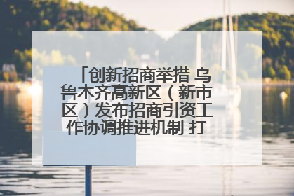 创新招商举措 乌鲁木齐高新区（新市区）发布招商引资工作协调推进机制 打造投资发展新高地
