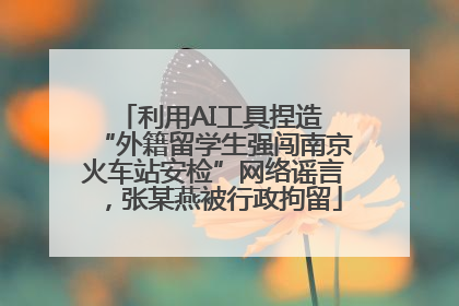 利用AI工具捏造 “外籍留学生强闯南京火车站安检”网络谣言，张某燕被行政拘留
