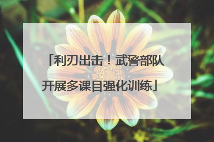 利刃出击！武警部队开展多课目强化训练