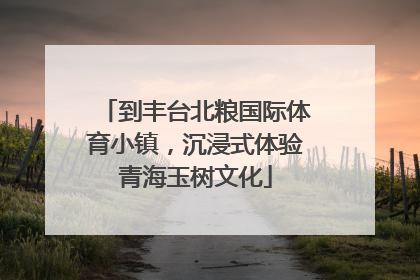 到丰台北粮国际体育小镇，沉浸式体验青海玉树文化