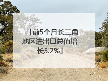 前5个月长三角地区进出口总值增长5.2%