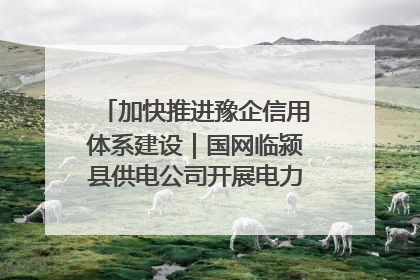 加快推进豫企信用体系建设｜国网临颍县供电公司开展电力行业信用企业现场咨询访谈工作