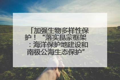 加强生物多样性保护！“落实昆蒙框架：海洋保护地建设和南极公海生态保护”主题论坛将举办