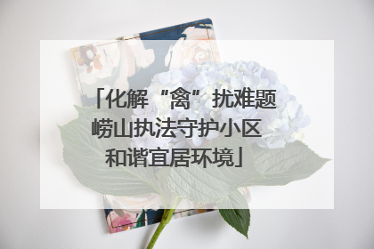 化解“禽”扰难题 崂山执法守护小区和谐宜居环境