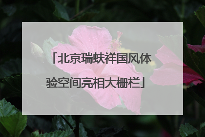 北京瑞蚨祥国风体验空间亮相大栅栏