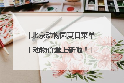 北京动物园夏日菜单丨动物食堂上新啦！