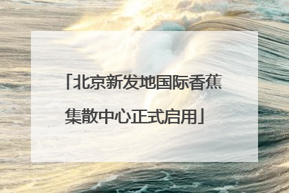 北京新发地国际香蕉集散中心正式启用