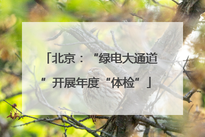 北京：“绿电大通道”开展年度“体检”