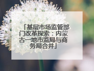 基层市场监管部门改革探索：内蒙古一地市监局与商务局合并
