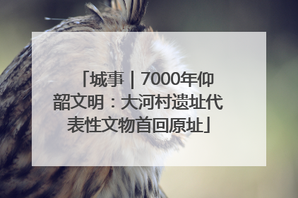 城事｜7000年仰韶文明：大河村遗址代表性文物首回原址