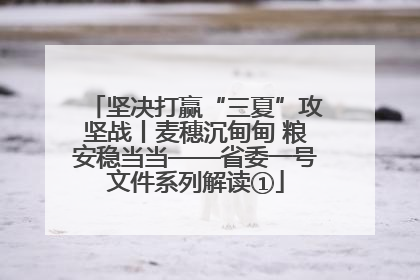 坚决打赢“三夏”攻坚战丨麦穗沉甸甸 粮安稳当当——省委一号文件系列解读①